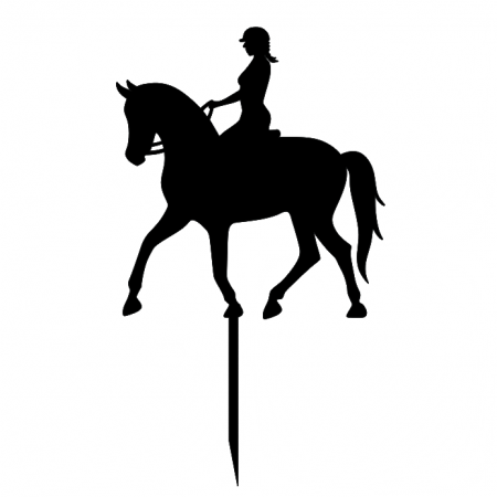 Koń jazda konna dziewczyna na koniu Topper